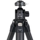 Falcam F38 PRO QR DL PANOR BLHD MARSACE XB-2R