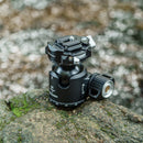 Falcam F38 PRO QR DL PANOR BLHD MARSACE XB-2R