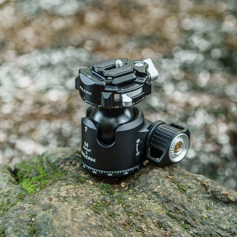 Falcam F38 PRO QR DL PANOR BLHD MARSACE XB-2R