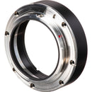 DZOFilm EF-Mount Tool Kit for Vespid, Catta Ace, and Gnosis Lenses (7-Pack)