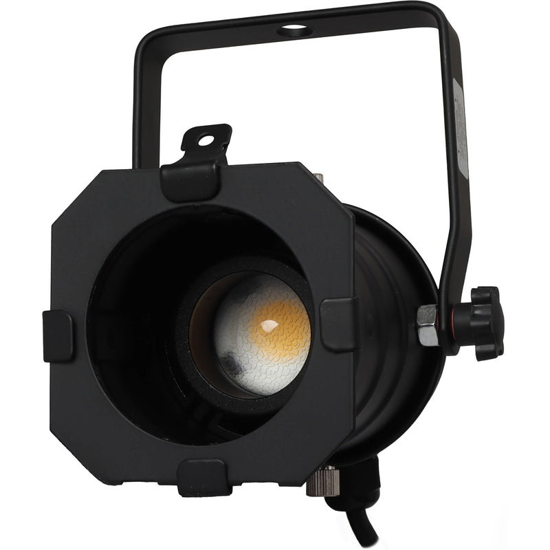 Odyssey Aluminum Par 20 Light Fixture with Adjustable LED Bulb