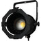Odyssey Aluminum Par 30 Light Fixture with Adjustable LED Bulb