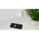 IOGEAR GearPower USB Type-C 20W Charger (2-Pack)