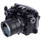 AOI Flat Lens Port for Olympus PEN Housings & 60mm Macro Lens