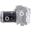 AOI Flat Lens Port for Olympus PEN Housings & 90mm Macro Lens