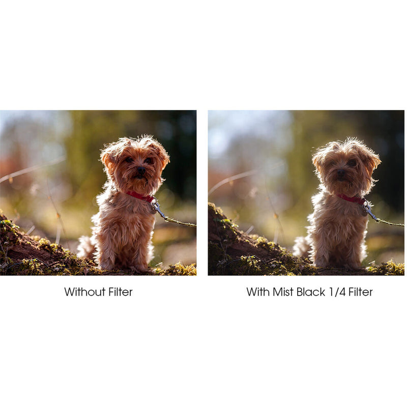 Haida 86mm NanoPro Mist Black 1/4 Filter