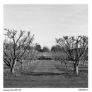 Kentmere PAN 200 Black & White Negative Film (120 Roll Film)