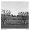 Kentmere PAN 200 Black & White Negative Film (120 Roll Film)