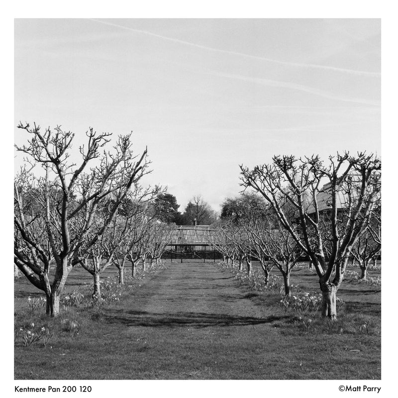 Kentmere PAN 200 Black & White Negative Film (120 Roll Film)