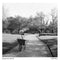 Kentmere PAN 200 Black & White Negative Film (120 Roll Film)