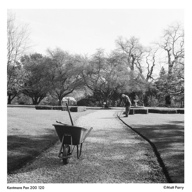 Kentmere PAN 200 Black & White Negative Film (120 Roll Film)