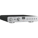 SPL Phonos duo RIAA Phono Preamplifier for Pro Audio and Hi-Fi Applications (Silver)