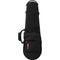Gator Largo Series Lightweight Case for Violin (4/4)