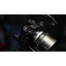 Tilta Base Camera Cage Kit for Select Panasonic Lumix Cameras (Black)