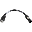 Lex Products 12" Neutrik Powercon True1 Plug To Neutrik Powercon Chassis Grey