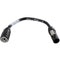 Lex Products 12" Neutrik Powercon True1 Plug To Neutrik Powercon Chassis Grey