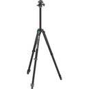 Sirui L-224F Carbon Fiber Photo Tripod with KS-10 Low Gravity QR Ball Head