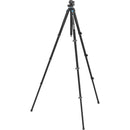 Sirui L-224F Carbon Fiber Photo Tripod with KS-10 Low Gravity QR Ball Head