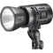 Godox RS60Bi Bi-Color LED Monolight (2-Light Kit)