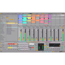 AIAIAI TMA-2 Studio XE (S01 MKII, E04, H03, C05, A01)