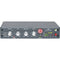 AEA Ribbon Mics 1029 Half-Rack Stereo VCA Compressor