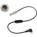 ZITAY USB-C to 3-Pin Fischer Run/Stop Control Cable for DJI RS 2 (12")