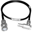 AUDIOROOT 5-Pin Male to Right-Angle BNC Timecode Cable (2')