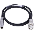 AUDIOROOT 5-Pin Male Timecode to BNC Cable (2')