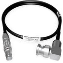 AUDIOROOT 5-Pin Male to Right-Angle BNC Timecode Cable (2')