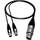 AUDIOROOT AXLR5F2YT3 XLR5F to Dual TA3F Balanced Audio Y-Cable (2')