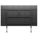 Newline Mobile Stand for 135" DV ONE+ Display