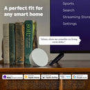 Roku Streaming Stick