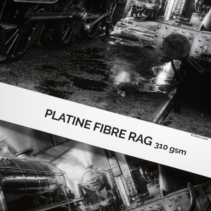 Canson Infinity Platine Fibre Rag 310 Archival Inkjet Paper (17" x 39' Roll)