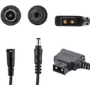 ZITAY D-Tap to DMW-BLJ31GK Dummy Battery Adapter