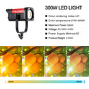 GVM SD300B AIO Bi-Color LED Monolight (300W)
