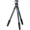 Leofoto LS-284CEX X Carbon Fiber Tripod with LH-30LR Ball Head