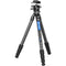 Leofoto LS-284CEX X Carbon Fiber Tripod with LH-36LR Ball Head