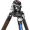 Leofoto LN-364C Heavy Duty Carbon Fiber Tripod with LH-55LR Ball Head and 75mm Bowl Adapter