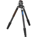 Leofoto LN-364C Heavy Duty Carbon Fiber Tripod with LH-55LR Ball Head and 75mm Bowl Adapter