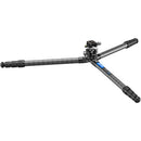 Leofoto LS-284C X Ranger Carbon Fiber Tripod with LH-30 Ball Head