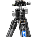 Leofoto LS-284C X Ranger Carbon Fiber Tripod with LH-30 Ball Head