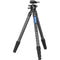 Leofoto LS-284C X Ranger Carbon Fiber Tripod with LH-36 Ball Head
