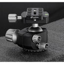 Leofoto LS-364CX Carbon Fiber Tripod with LH-40 Ball Head