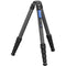 Leofoto LS-365CX Carbon Fiber Tripod with LH-40 Ball Head