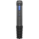 Leofoto LS-365CX Carbon Fiber Tripod with LH-40 Ball Head