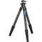 Leofoto LS-365CX Carbon Fiber Tripod with LH-40 Ball Head