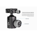 Leofoto XB-38 Ball Head with BPL-50 Quick Release Plate