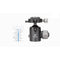 Leofoto XB-38 Ball Head with BPL-50 Quick Release Plate