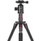 Neewer 77" 2-in-1 Aluminum Tripod/Monopod with Arca-Type Head and Phone Holder
