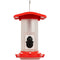 TACTACAM FeatherSnap Smart Hummingbird Feeder